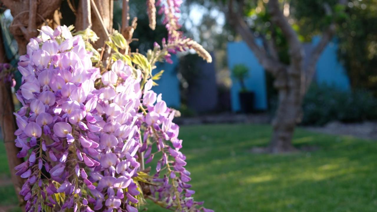 Loddon River Motel Kerang Екстериор снимка