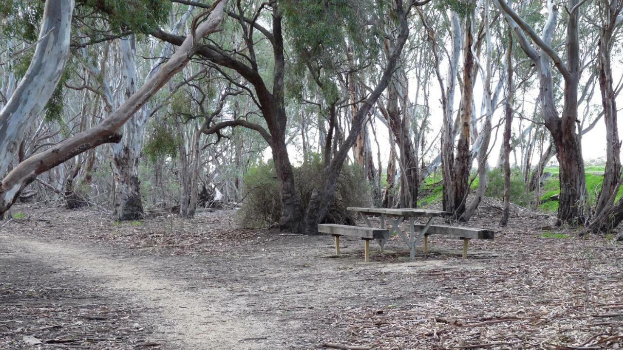 Loddon River Motel Kerang Екстериор снимка